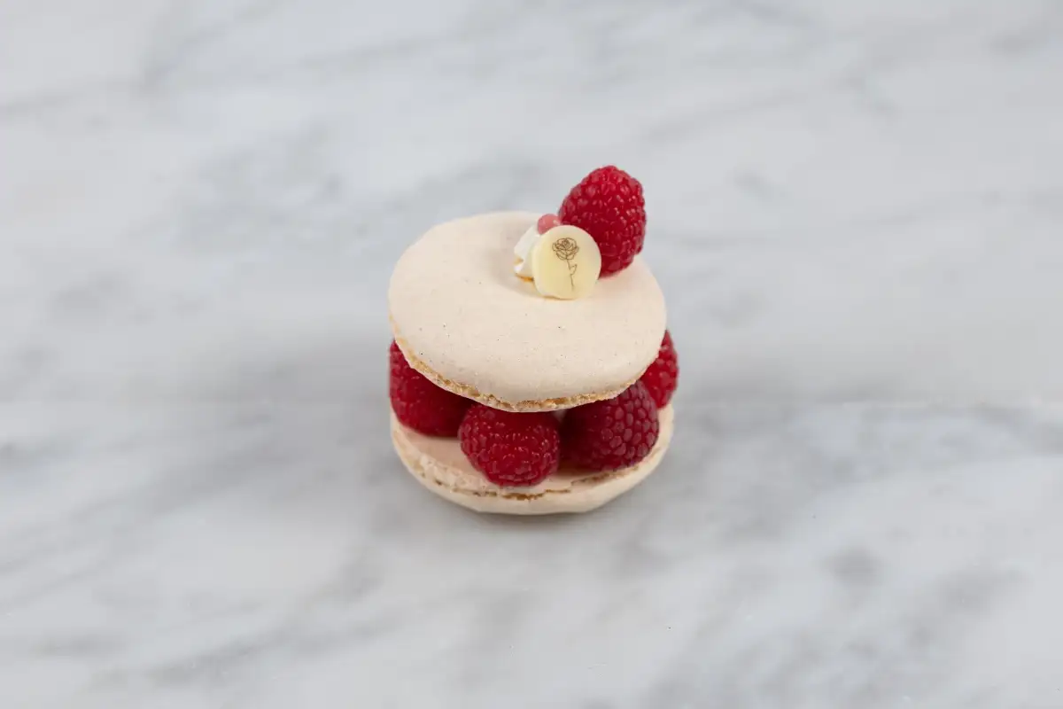 Macaron rose framboise